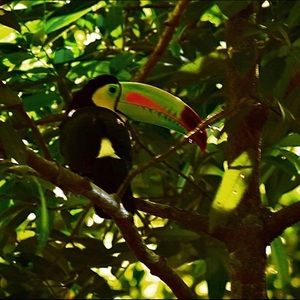 Meet your Posher, Marion